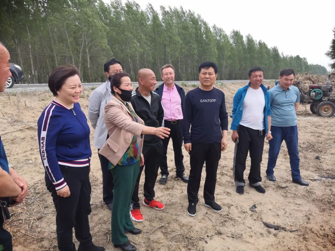 后旗政务要情